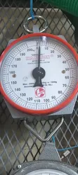 Hanson 200kg Commercial Weighing Scale - 3