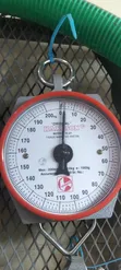 Hanson 200kg Commercial Weighing Scale - 4
