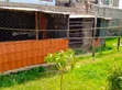 Poultry House for Rent in Utawala - 2