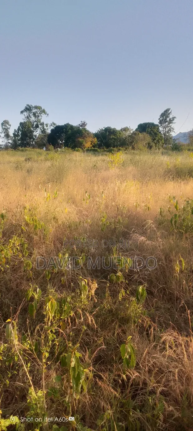 Prime 4 Acres Farmland for Sale in Ngaa Kisau - 1