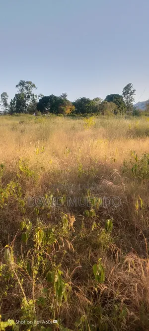 Prime 4 Acres Farmland for Sale in Ngaa Kisau