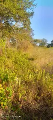Prime 4 Acres Farmland for Sale in Ngaa Kisau - 2