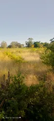 Prime 4 Acres Farmland for Sale in Ngaa Kisau - 3
