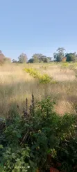 Prime 4 Acres Farmland for Sale in Ngaa Kisau - 4