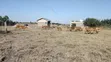 Kitalu cha 1/4 Acre kwa Uuzaji Kitengela Milimani - 2
