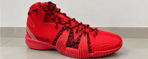 Viatu vya Mpira wa Kikapu Li-Ning Badfive
