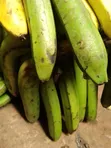 Fresh Bananas for Sale - 2