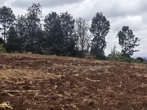 1.5 Acres Land for Sale in Olkeri, Ngong