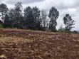 1.5 Acres Land for Sale in Olkeri, Ngong - 1