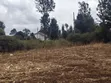 1.5 Acres Land for Sale in Olkeri, Ngong - 2