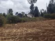 1.5 Acres Land for Sale in Olkeri, Ngong - 3