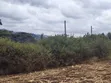 1.5 Acres Land for Sale in Olkeri, Ngong - 4