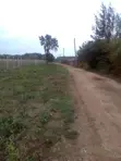 Diani Beach Plots for Sale - 3rd Row - 1