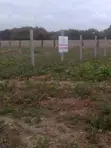 Diani Beach Plots for Sale - 3rd Row - 4