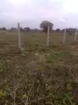 Diani Beach Plots for Sale - 3rd Row - 5