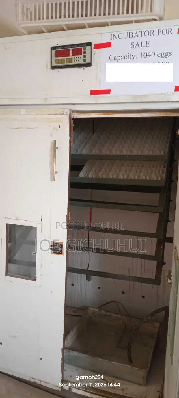 Egg Incubator for Sale - 1040 Egg Capacity - 1