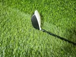 Taylormade RBZ 3 Wood - 5