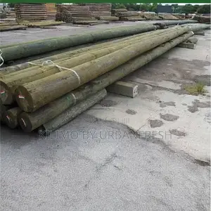 Pressure Treated Wood Post 8-9" (3m-6m)