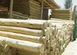 Pressure Treated Wood Post 8-9" (3m-6m) - 2