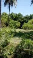 Premium Island Plot with 150m Beach Frontage - 3
