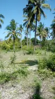 Premium Island Plot with 150m Beach Frontage - 4