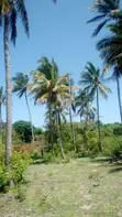 Premium Island Plot with 150m Beach Frontage - 5
