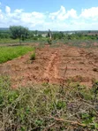 Ten Acres Farmland for Sale in Athi - 2