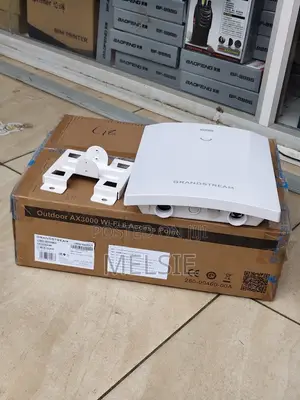 Grandstream GWN7660ELR Outdoor WiFi 6 Access Point
