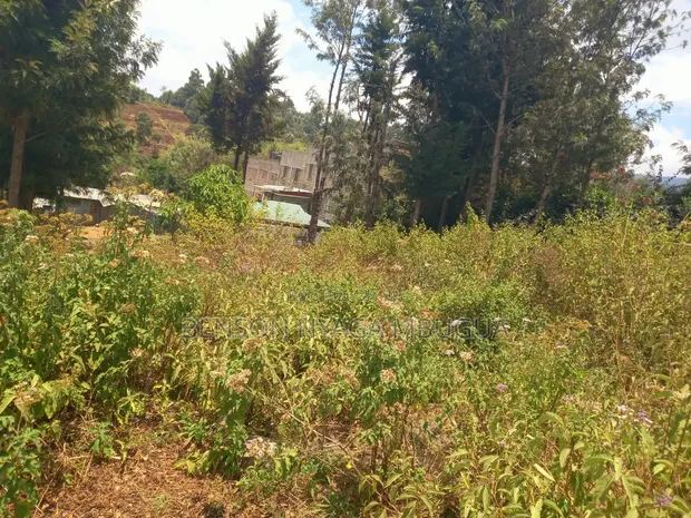 Prime 1/4 Acre Plot for Sale - Kiserian, Kaurai Road, Cianda - 1