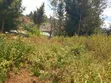 Prime 1/4 Acre Plot for Sale - Kiserian, Kaurai Road, Cianda - 1