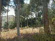 Prime 1/4 Acre Plot for Sale - Kiserian, Kaurai Road, Cianda - 2