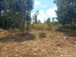 Prime 1/4 Acre Plot for Sale - Kiserian, Kaurai Road, Cianda - 3