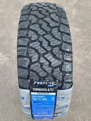 225/65 R17 Fortune Tormenta AT2 All-Terrain Tires (Thailand)