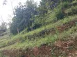 1.5 Acres Land for Sale in Wundanyi, Mbengonyi - 2