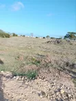 Beach Plot Phase 2 Malindi for Sale - 2