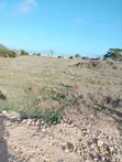 Beach Plot Phase 2 Malindi for Sale - 3