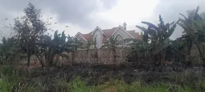 Three 50x100 Plots in Kiambu Mugumo Estate