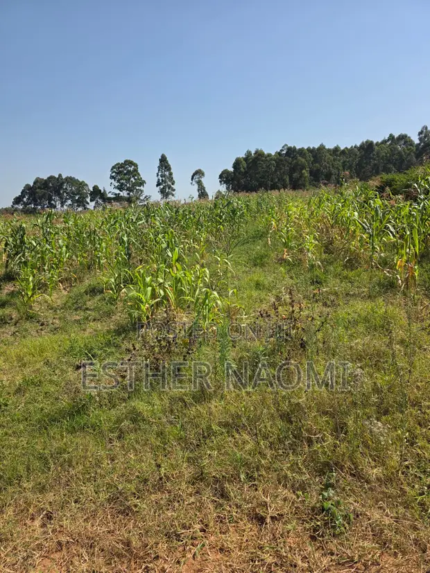 4 Acres Prime Land for Sale Near Kitale Airstrip - 1
