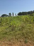 4 Acres Prime Land for Sale Near Kitale Airstrip - 1