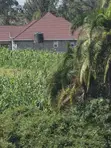 4 Acres Prime Land for Sale Near Kitale Airstrip - 2