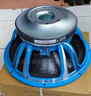 Derwel 18DE125F 18-inch Bass Speaker