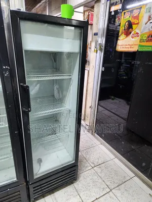 300L Working Eu Display Fridge