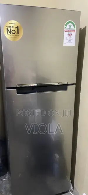Samsung 253L Double Door Fridge | Digital Inverter | No Frost
