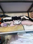 Fleece Blankets (Used) - 2
