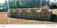 Quality Dry Hay Bales for Sale - 3