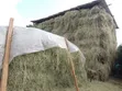 Quality Dry Hay Bales for Sale - 5