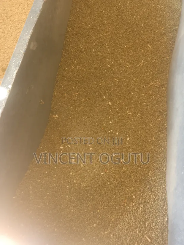 Fish Meal for Animal Feed - 1