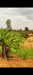 3 Prime Acres Along Nairobi-Nyeri Road, Kambiti - 1