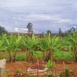 3 Prime Acres Along Nairobi-Nyeri Road, Kambiti - 2