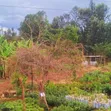 3 Prime Acres Along Nairobi-Nyeri Road, Kambiti - 5